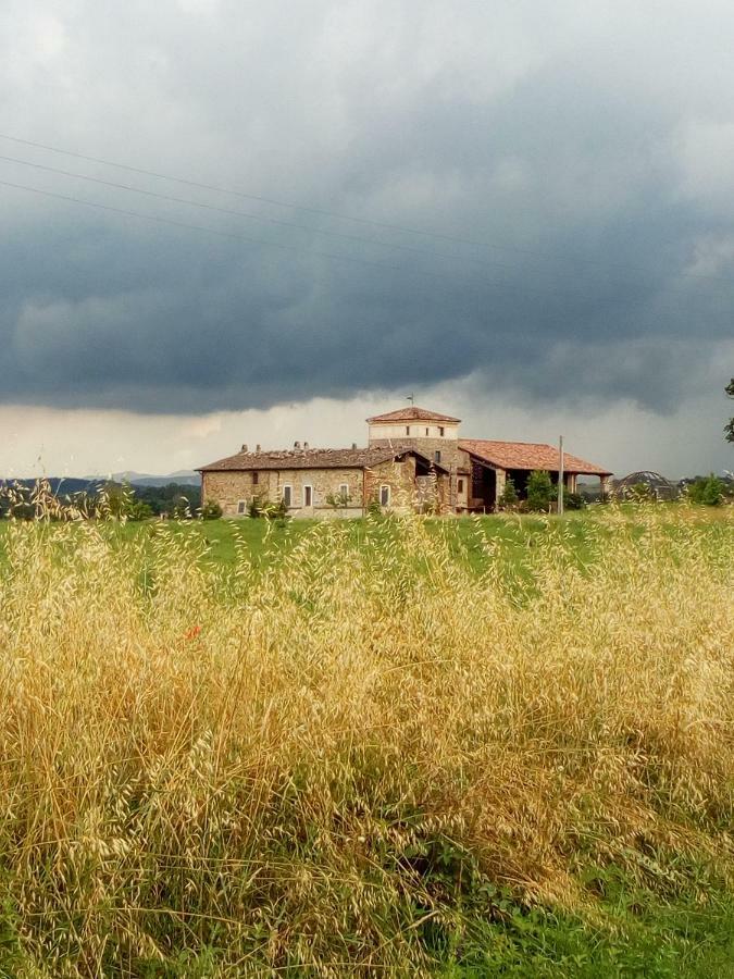 Vila Agriturismo Ca' Preda San Giorgio Piacentino Exteriér fotografie